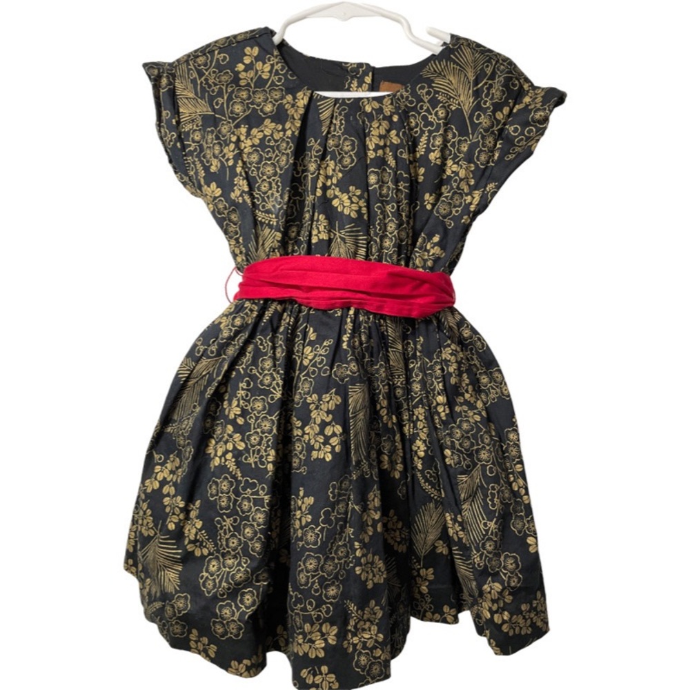 Tea Collection Party Dress. EUC. 3T.
